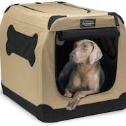 10 Best Dog Crates in 2022 (MidWest, EliteField, and More)