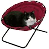 10 Best Cat Beds in 2022 (PetFusion, Pet Magasin, and More)