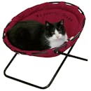 10 Best Cat Beds in 2022 (PetFusion, Pet Magasin, and More)
