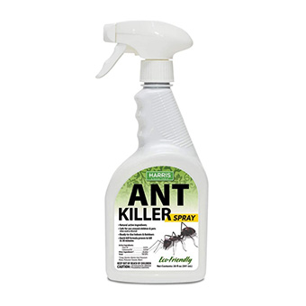 10 Best Ant Killers in 2022 (Ortho, Combat, and More) mybest