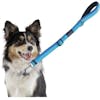 10 Best Dog Leashes for Running in 2022 (TaoTronics, oneisall, and More)