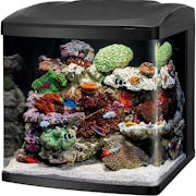 10 Best Fish Tanks in 2022 (Marina, Tetra, and More)