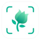 10 Best Apps to Identify Plants in 2022 (Master Gardener-Reviewed)