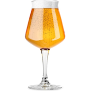 10 Best Beer Glasses in 2022 (Bavel, Dragon Glassware, and More)