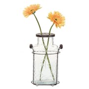 10 Best Glass Vases in 2022 (August Grove, Beachcrest Home, and More)